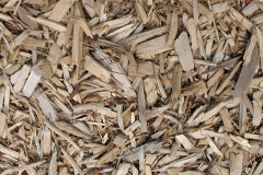 biomass boilers Waingroves